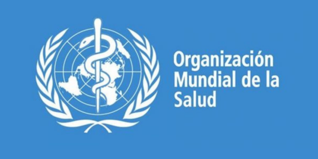 OMS.-blog-1200×600 This year does not happen! 15 healthy purposes